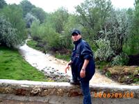 seef
